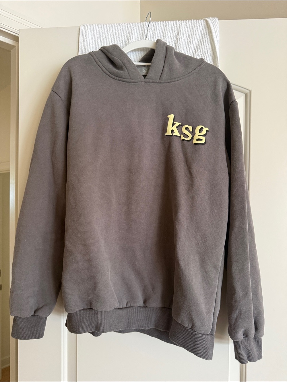 Men's Hooded Sweatshirt in Gray
